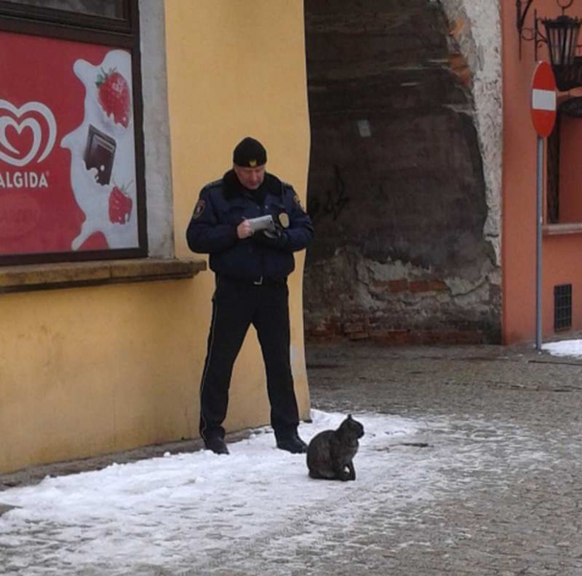 Zdjęcie dnia. Nikt nie wywinie się Straży Miejskiej Zdjęcie dnia. Nikt nie wywinie się Straży Miejskiej