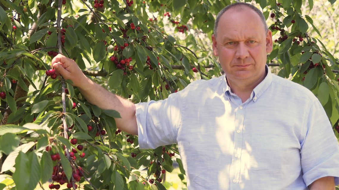 Zdrowa żywność na Lubelszczyźnie. Co nam przyniesie Zielony Ład?