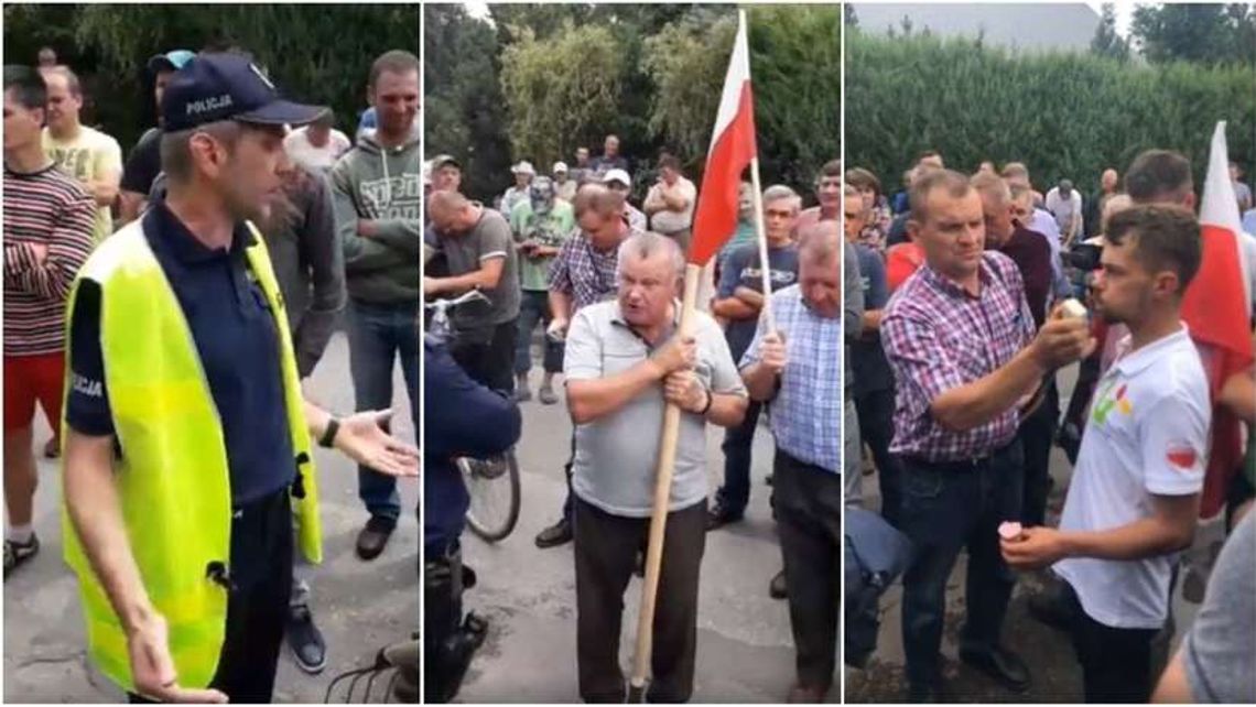 "Zdrowych świń nie powinno się wybijać". Wyrok na zwierzęta odroczony