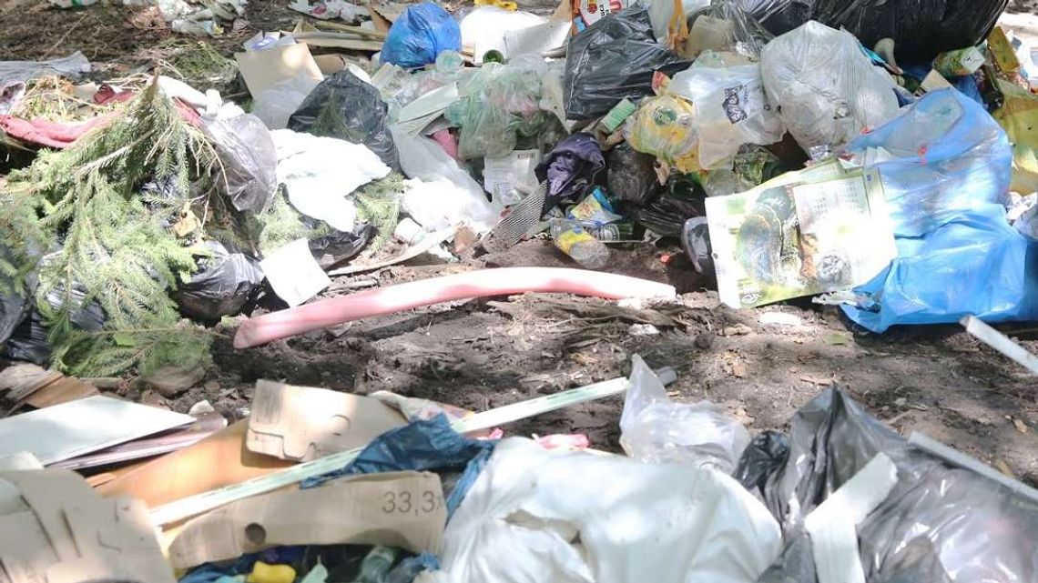 Ze Świdnika co roku wywozi się coraz więcej odpadów. Co z nimi zrobić? Ze Świdnika co roku wywozi się coraz więcej odpadów. Co z nimi zrobić?