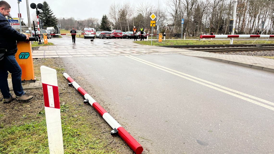 Żeby nie doszło do tragedii. Nie panikuj, wyłam rogatkę Żeby nie doszło do tragedii. Nie panikuj, wyłam rogatkę