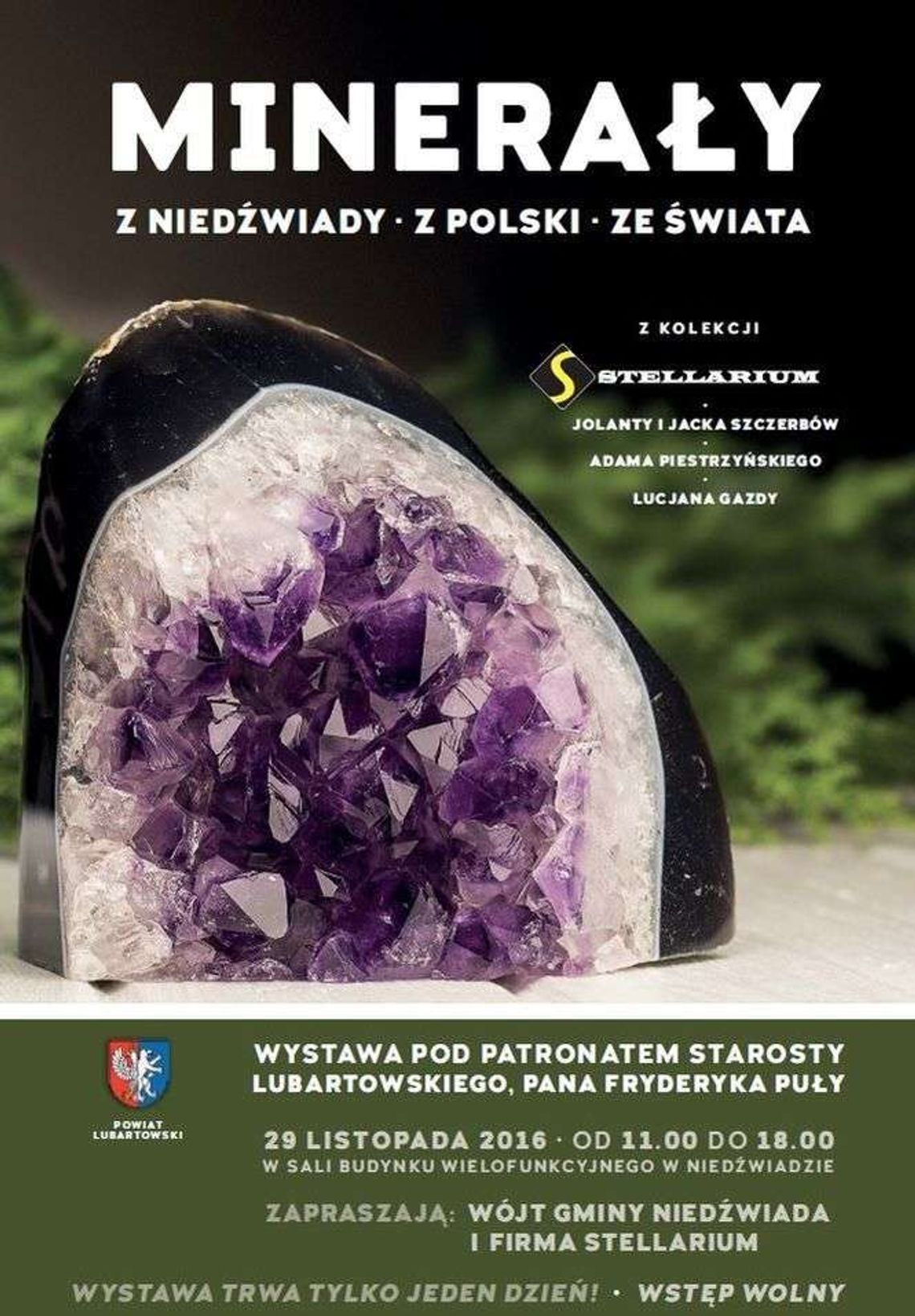 Zęby rekina, minerały, okruchy bursztynu. Wystawa w Niedźwiadzie