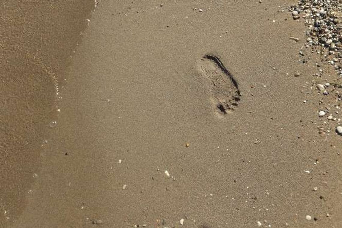 Żeby wakacje były bezpieczne. Gdzie sprawdzić czy wyjazd jest legalny?