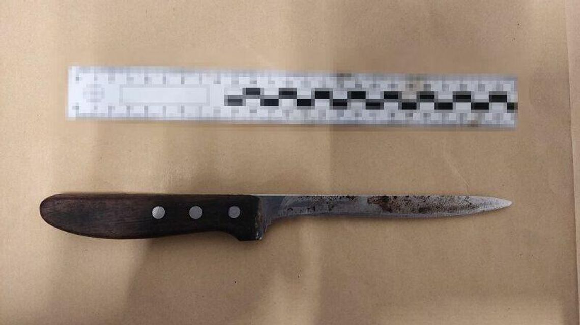 Zemścili się na dacii za sąsiedzki konflikt Zemścili się na dacii za sąsiedzki konflikt