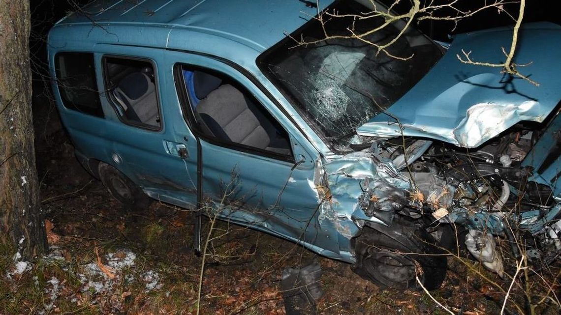 Zgłosił policjantom, że zderzył się z sarną. Jednak zawinił alkohol i nadmierna prędkość