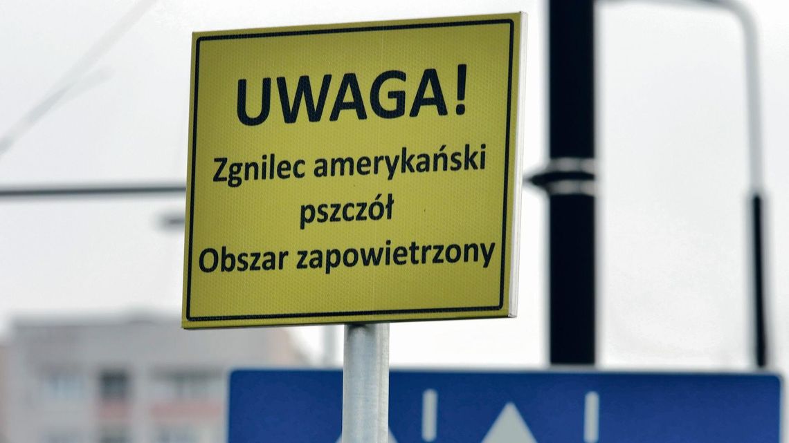 "Zgnilec. Obszar zapowietrzony". Nietypowe tablice na ulicach Lublina. O co chodzi?