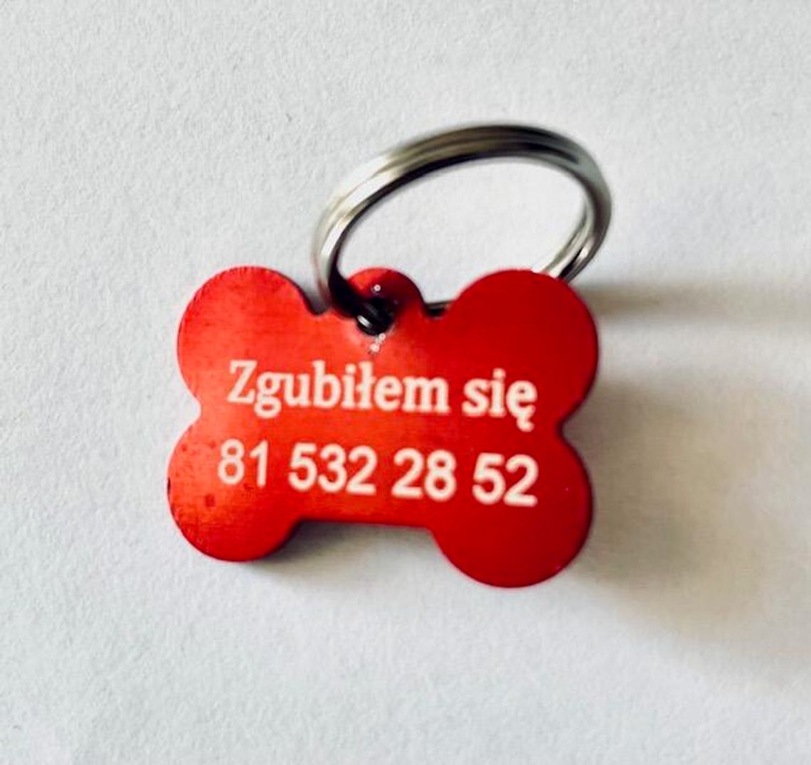 „Zgubiłem się”. Miasto rozdaje darmowe adresatki dla psów
