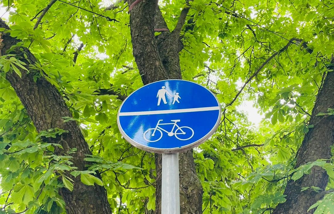 Zieleń do poprawki. Zamość powtarza przetarg na nowe miejsca odpoczynku w mieście Zamość zieleń