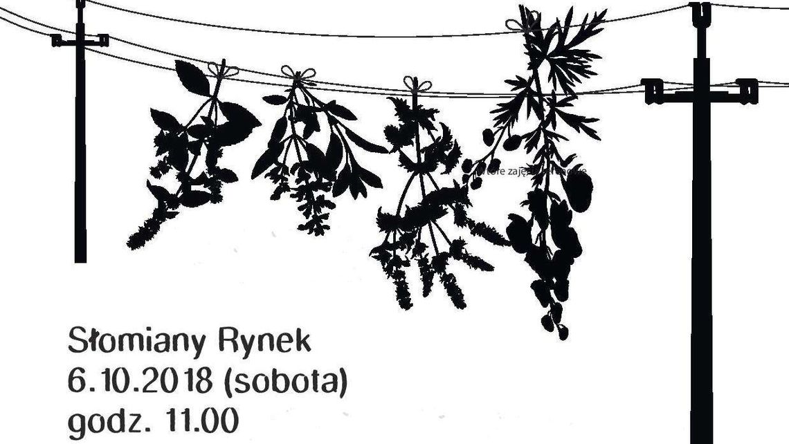 Zielnik Miejskiego Buszu na Słomianym Rynku w Lublinie Zielnik Miejskiego Buszu na Słomianym Rynku w Lublinie