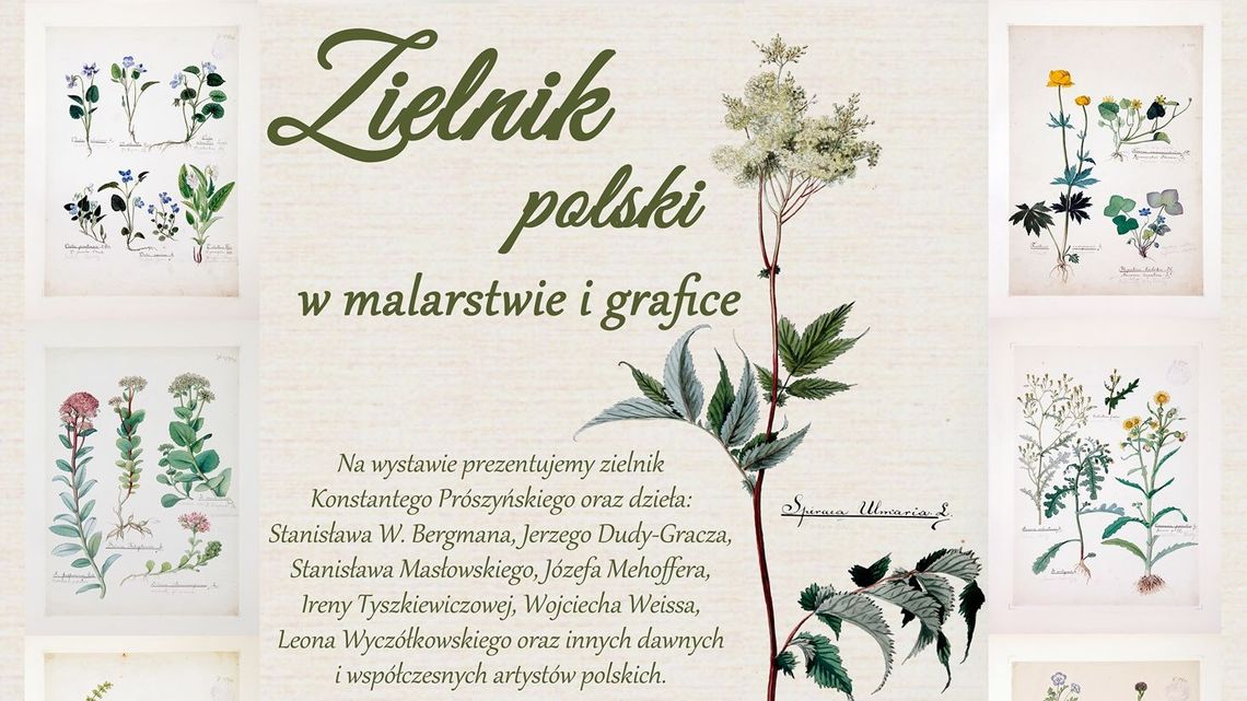 „Zielnik polski w malarstwie i grafice”. Wystawa w Muzeum Zamojskim