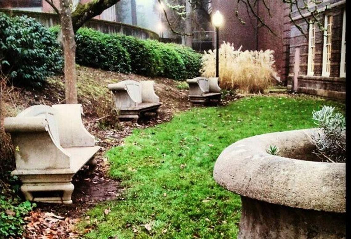 Zielona Ławeczka: Posadź z sąsiadem kwiaty na betonie Zielona Ławeczka: Posadź z sąsiadem kwiaty na betonie