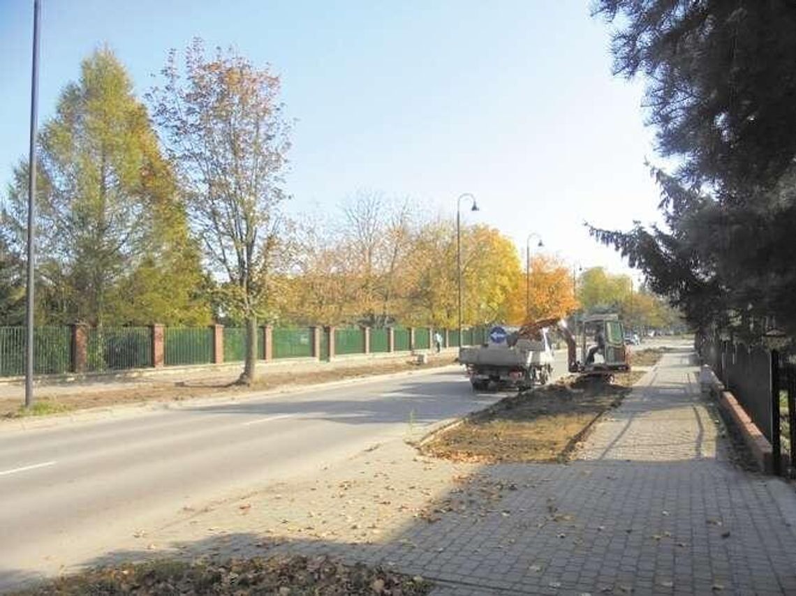 Zielona rewolucja przy głównej ulicy Łęcznej Zielona rewolucja przy głównej ulicy Łęcznej