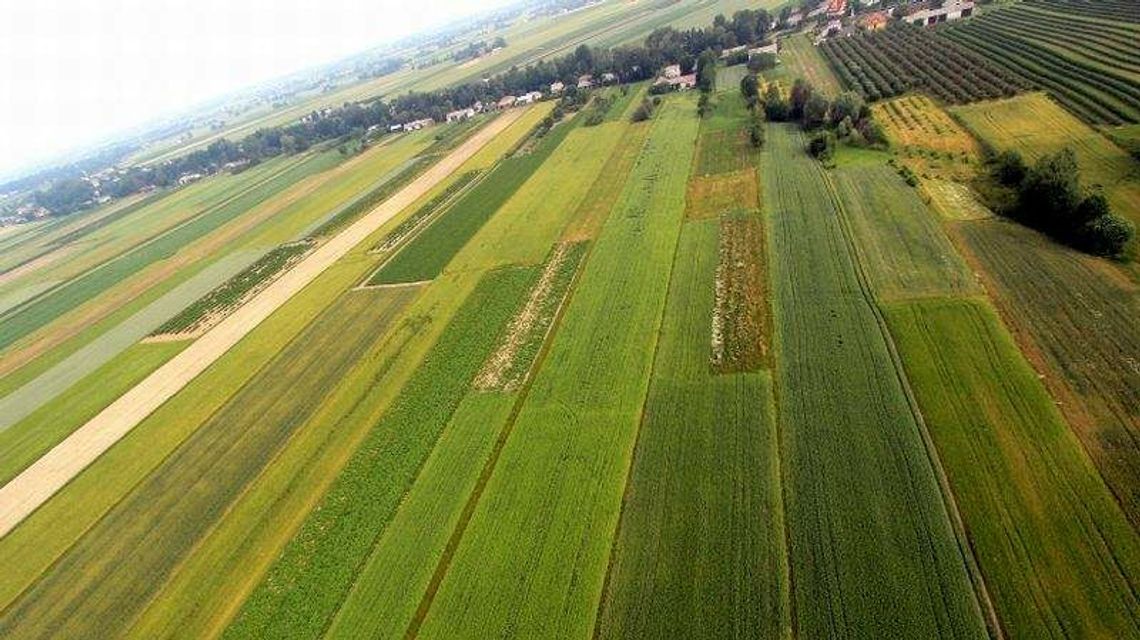 Zielone Agro Show. Coś specjalnie dla rolników już w ten weekend