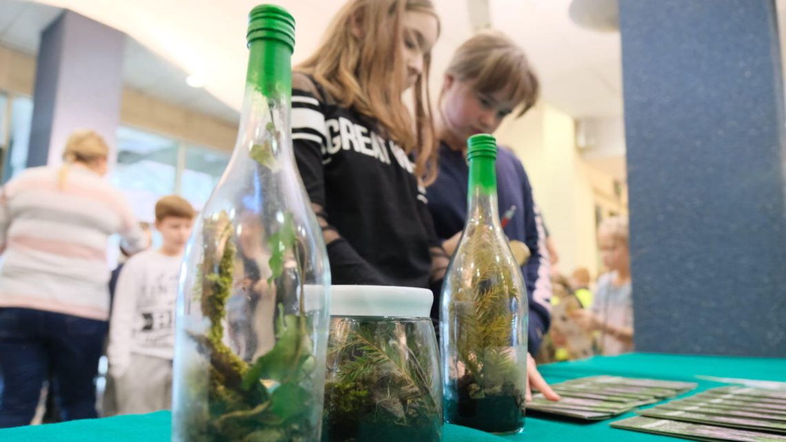 "Zielone płuca" mają dzisiaj swoje święto. Obchodzimy Międzynarodowy Dzień Lasów "Zielone płuca" mają dzisiaj swoje święto. Obchodzimy Międzynarodowy Dzień Lasów