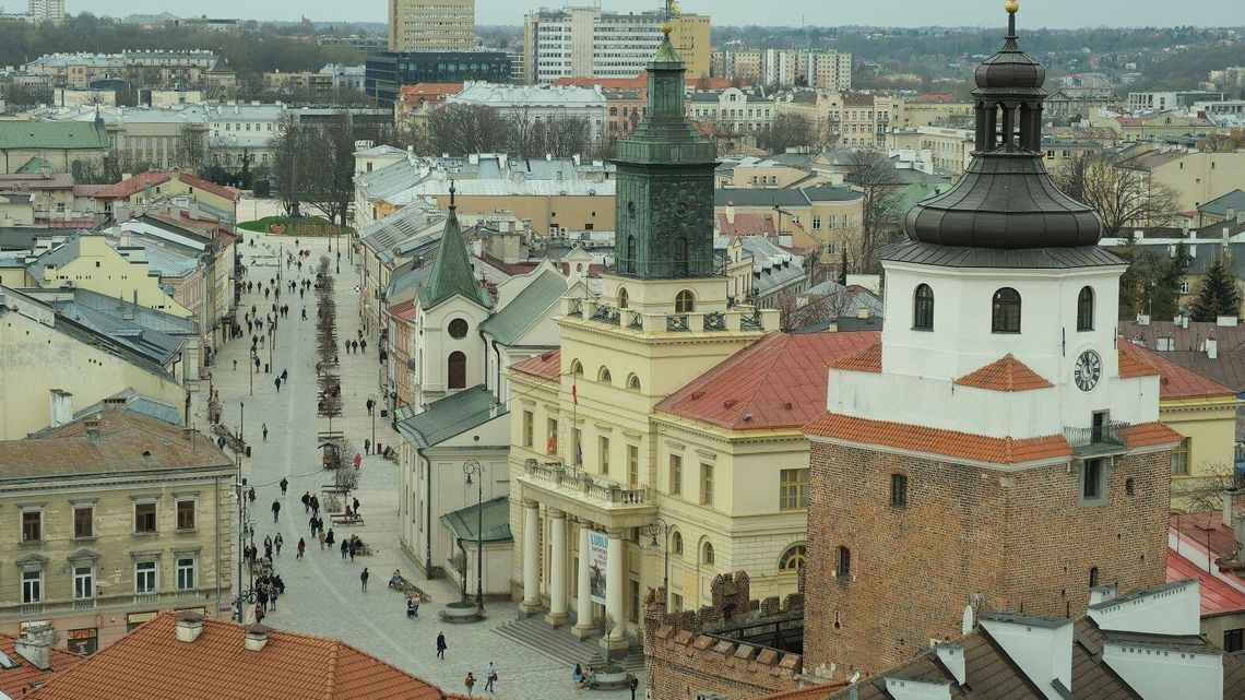 Zielone spory w Lublinie. Radny kontra władze w sprawie drzew na Placu Łokietka