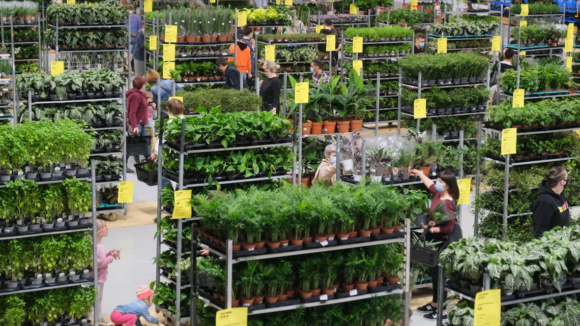 Zielone szaleństwo w Hali Targów już w ten weekend Zielone szaleństwo w Hali Targów już w ten weekend