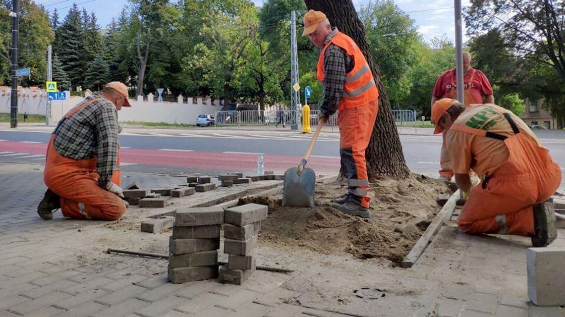 Zielony Budżet Lublina. Można zgłaszać pomysły, do wydania są 2 mln zł