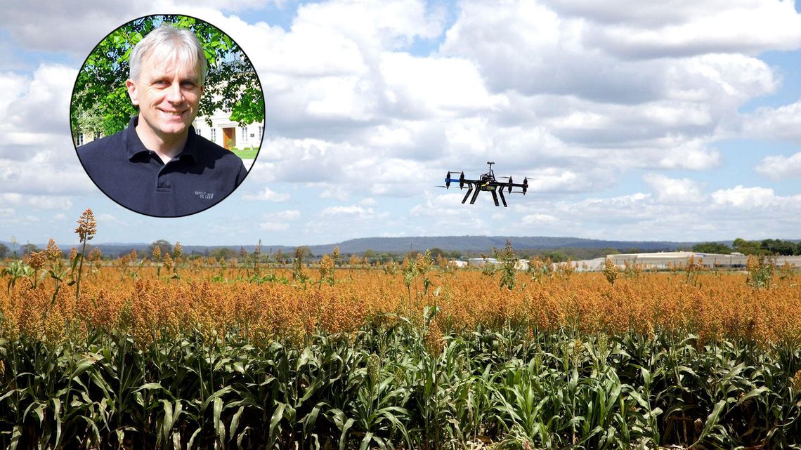 Ziemia przetrwa, ale czy będzie żywność, czy będą drzewa?