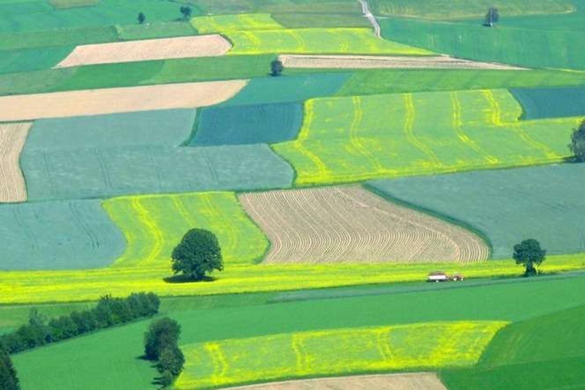 Ziemię kupią rolnicy, ale i Kościoły oraz związki wyznaniowe. Nowa ustawa