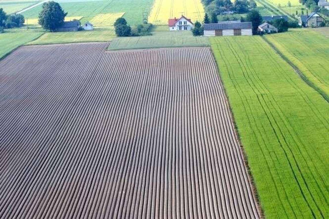 Ziemię rolną kupi tylko rolnik. "Sztucznie ograniczy się ludziom dostęp do działek" Ziemię rolną kupi tylko rolnik. "Sztucznie ograniczy się ludziom dostęp do działek"