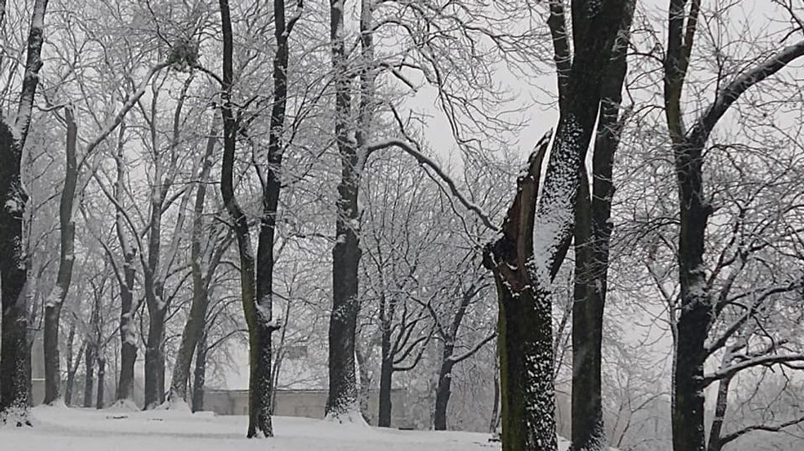 Zima dotarła do Chełma. Miasto zasypane białym puchem