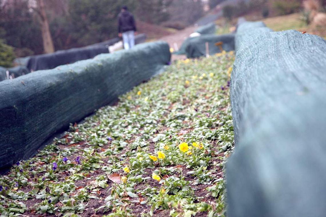 Zima się przesuwa. Zaatakuje wiosną? Zima się przesuwa. Zaatakuje wiosną?
