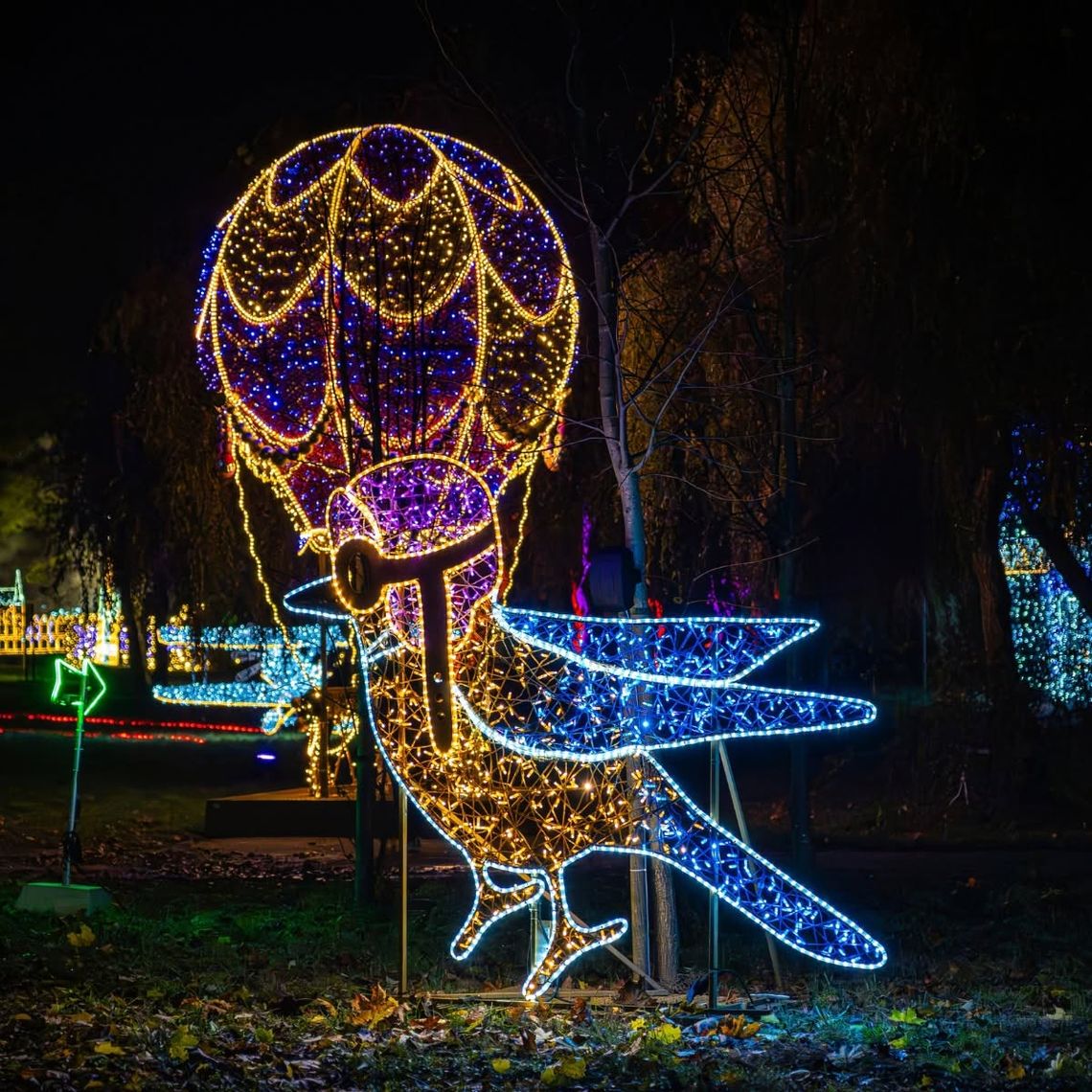 Zima w Ogrodzie Botanicznym? Kolejny raz pod znakiem Lumina Park Zima w Ogrodzie Botanicznym? Kolejny raz pod znakiem Lumina Park