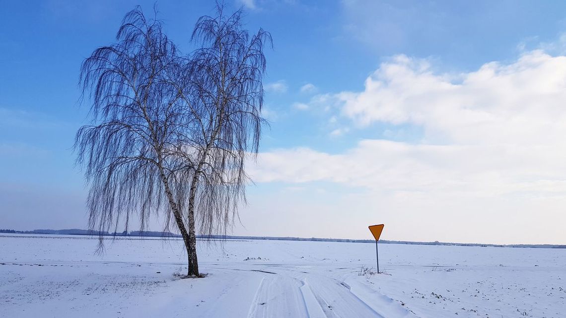 Zima. Zdjęcia naszych Czytelników