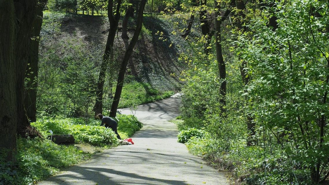 Zimni ogrodnicy dadzą nam w kość. Zmiana pogody od wtorku 12 maja