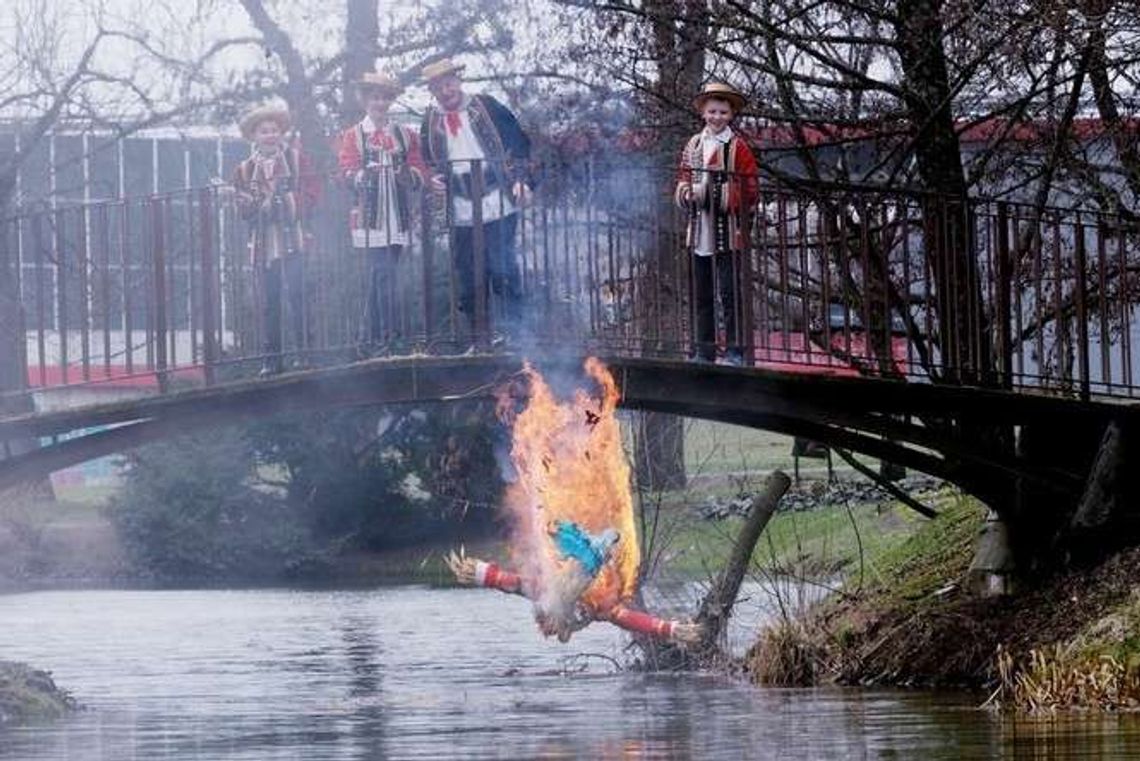 Zimo, idź precz! Powitanie wiosny w Ogrodzie Botanicznym UMCS