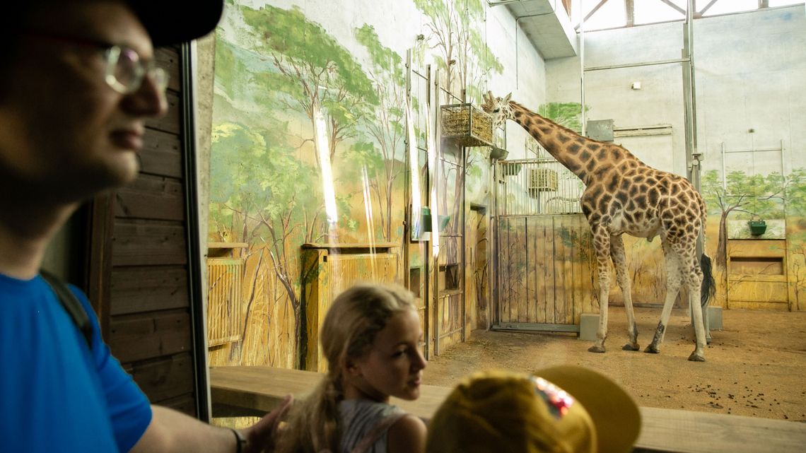 Zimowa promocja w ZOO w Zamościu. Bilety o ponad połowę tańsze