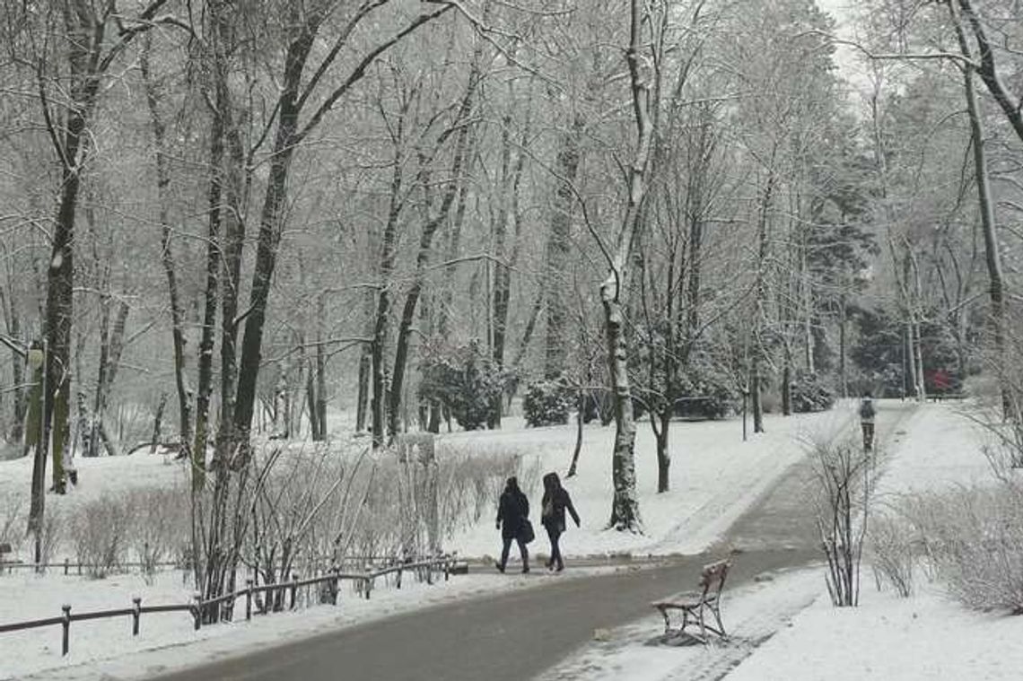 Zimowy Ogród Saski. Zdjęcia Czytelnika