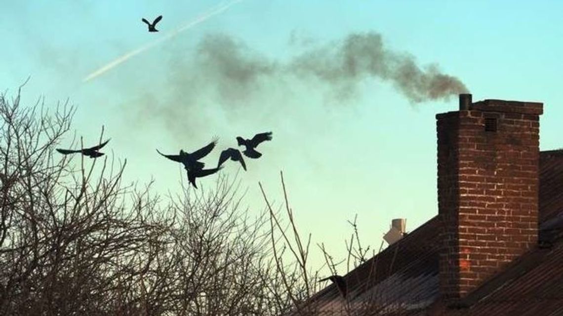Zła jakość powietrza w Lublinie. Normy pyłów zawieszonych wyraźnie przekroczone Zła jakość powietrza w Lublinie. Normy pyłów zawieszonych wyraźnie przekroczone