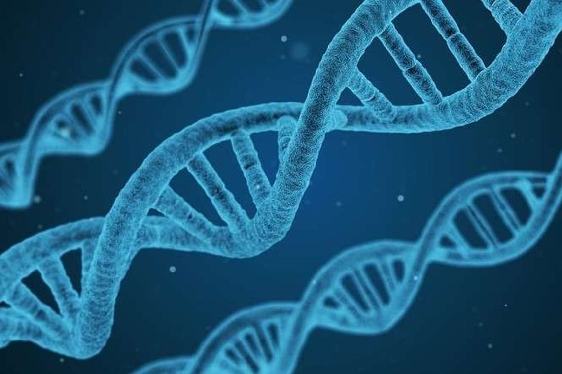 Złodziej okradł samochód. Zdradziło go DNA