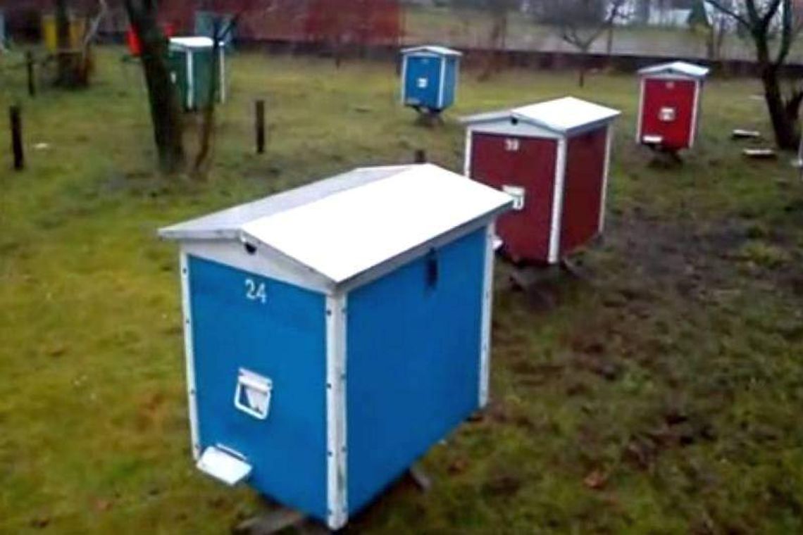 Złodziej ukradł ule z pszczołami w środku (wideo)