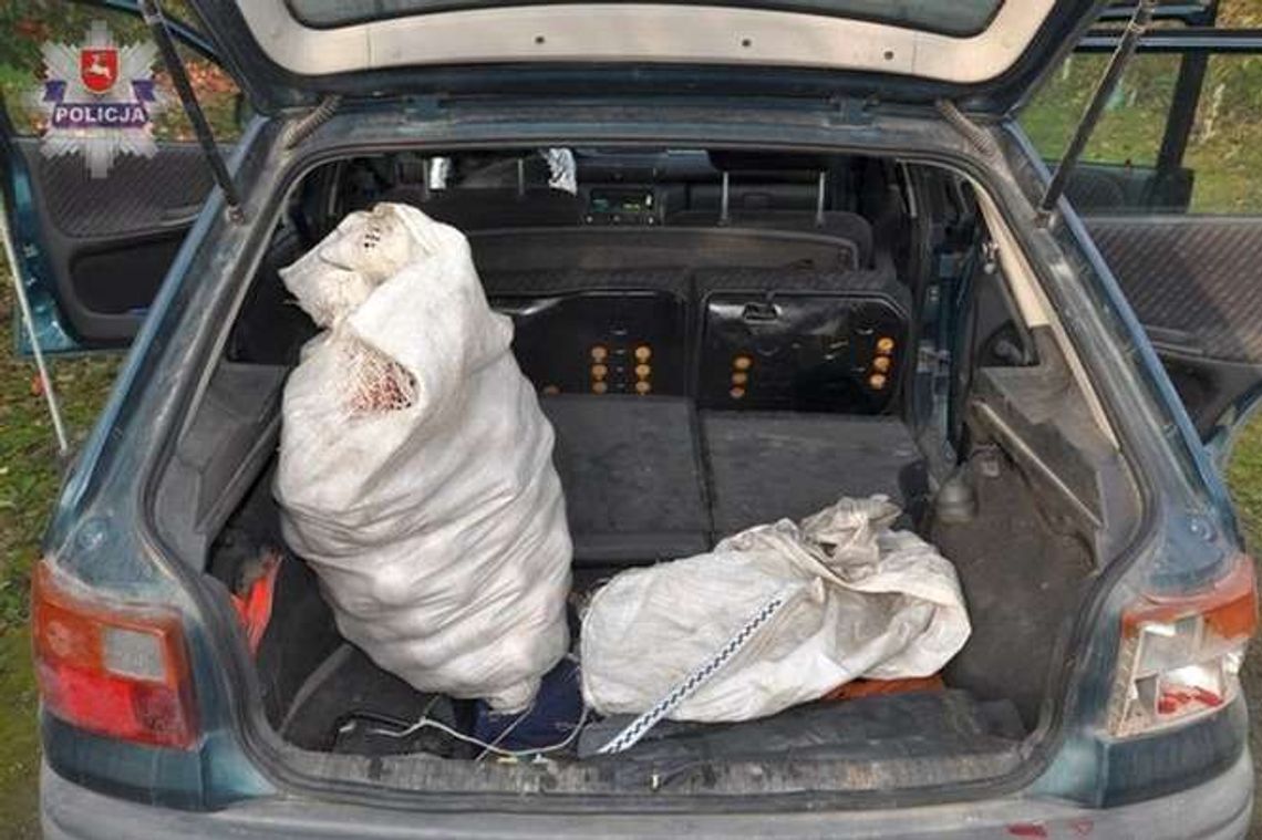 Złodziej w sadzie. Ukradł 2 tony jabłek