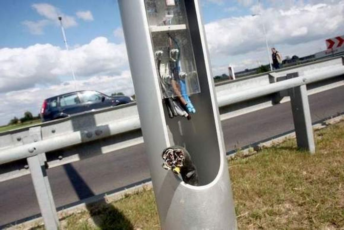 Złodziej zepsuł, miasto naprawi. Koszt: 331 tys. zł Złodziej zepsuł, miasto naprawi. Koszt: 331 tys. zł