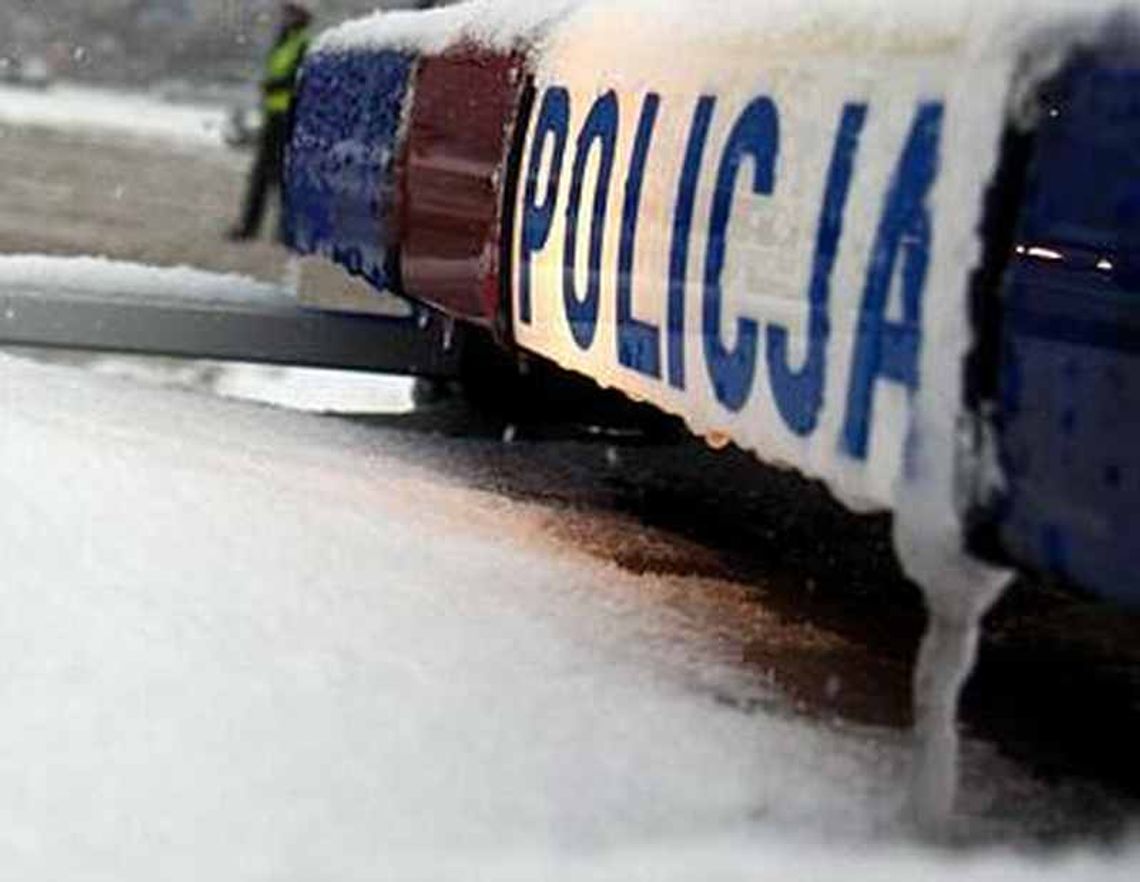 Złodzieje kradli na \"wyrwę\". Ukryli się w trzcinie 