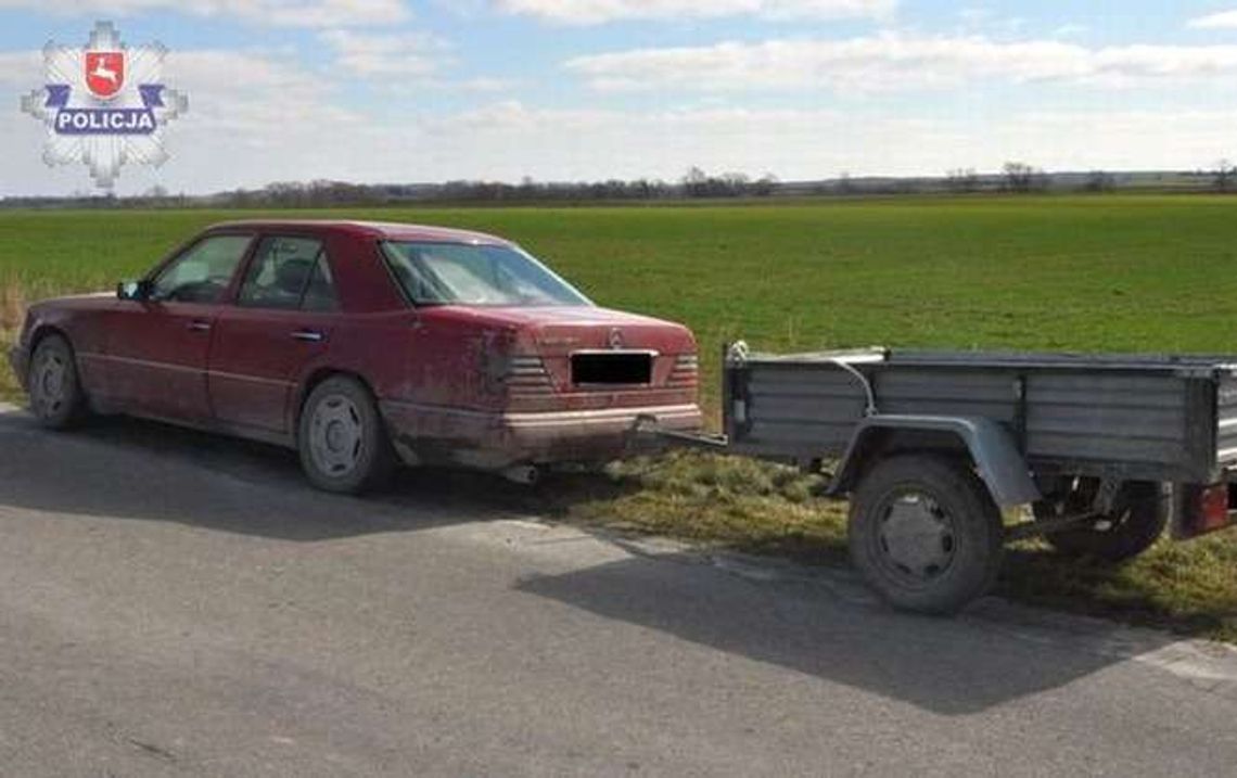 Złodzieje w lesie. Uciekali i gubili kradzione sadzonki
