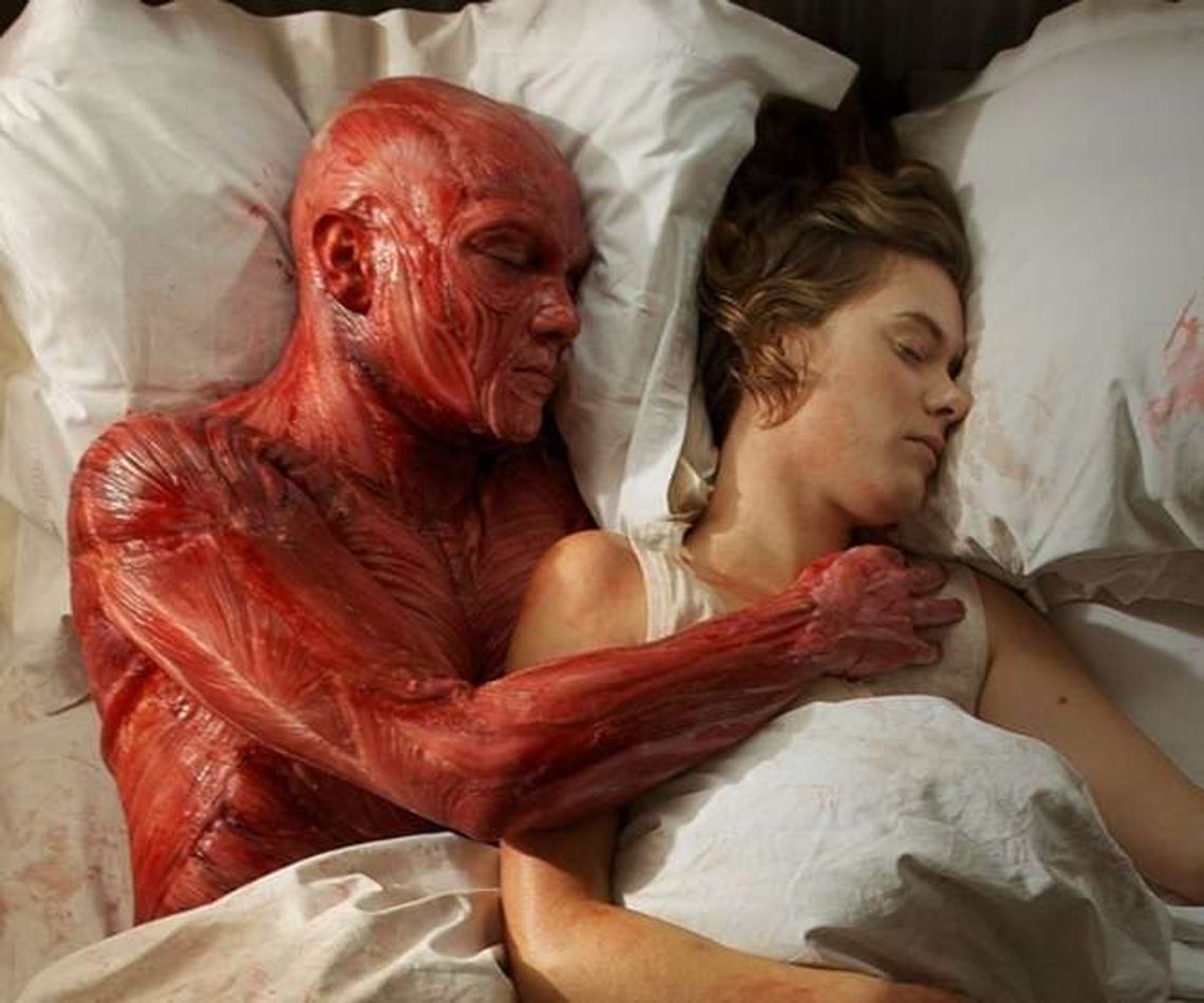 Złote Mrówkojady - Emocje