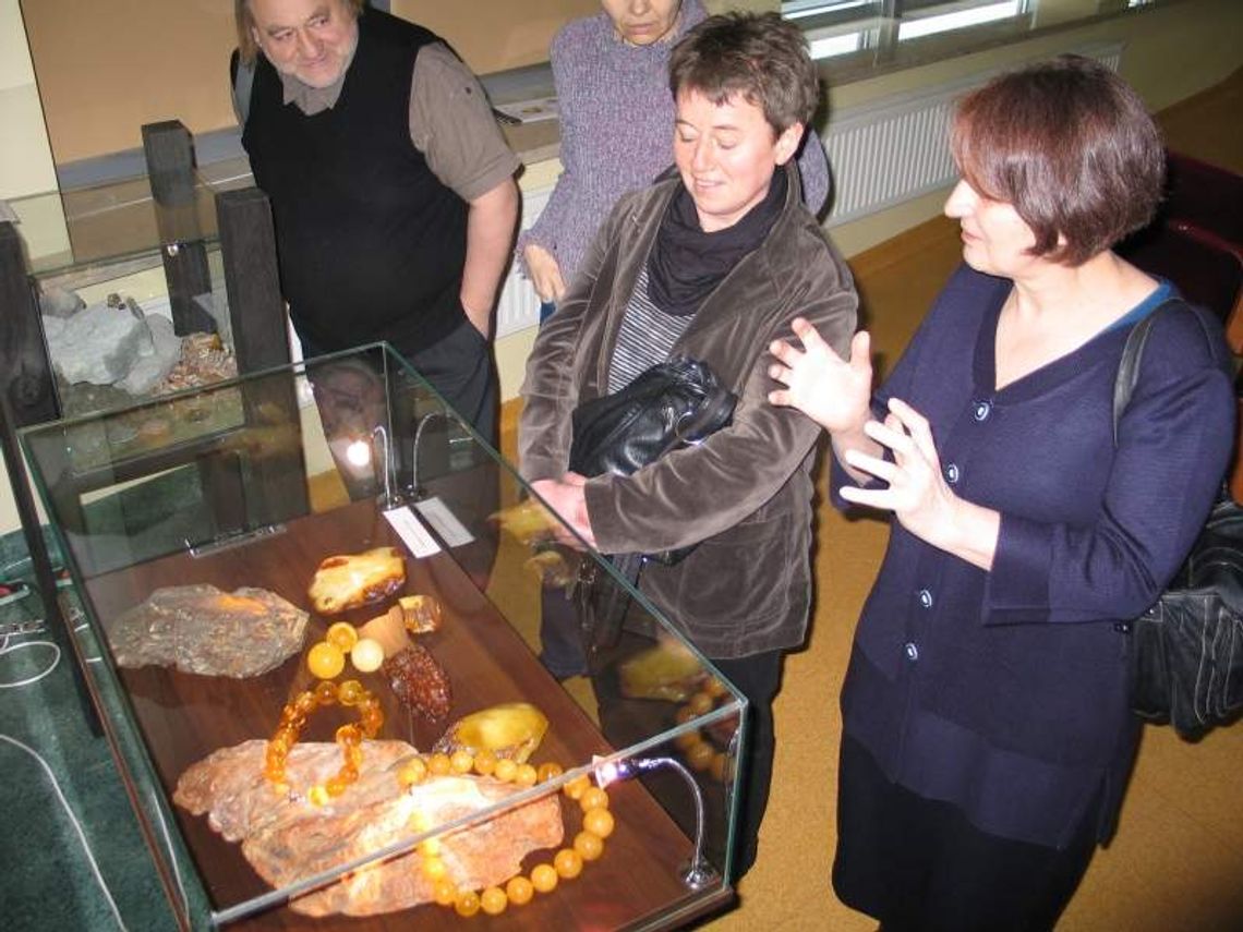 Złoża bursztynu czekają na wydobycie. Brakuje pomysłu