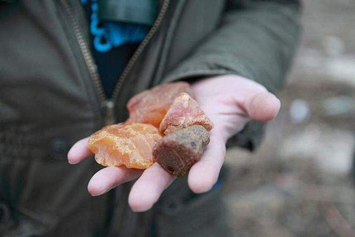 Złoża bursztynu w woj. lubelskim czekają na wydobycie. Dwie firmy mają zezwolenia