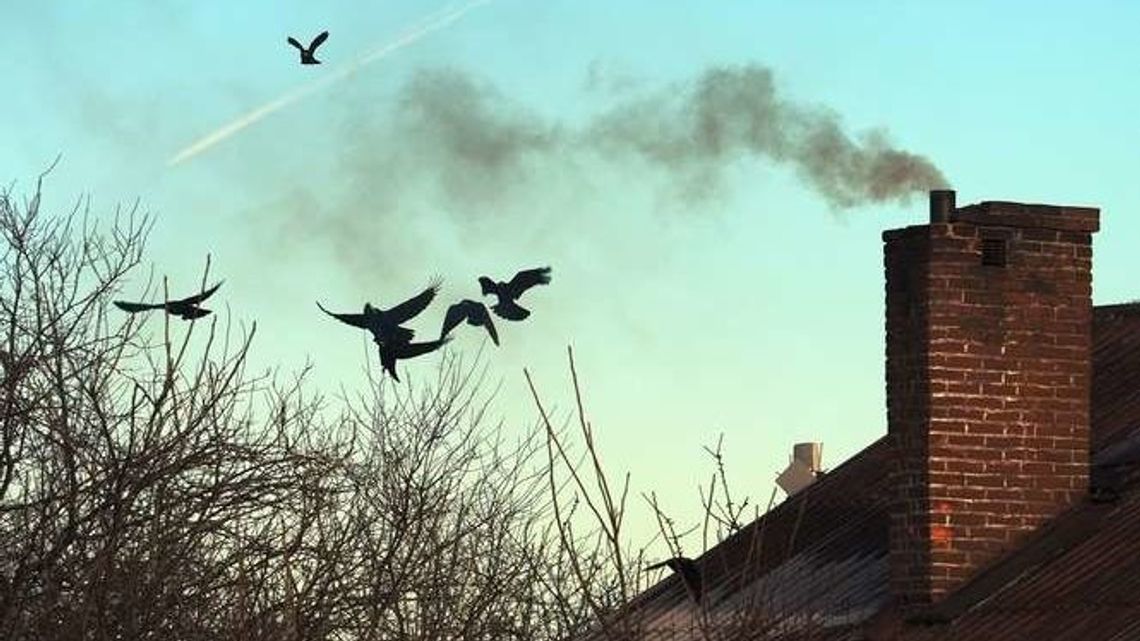 Zły stan powietrza w Lublinie. Przekroczone stężenia niebezpiecznych pyłów  