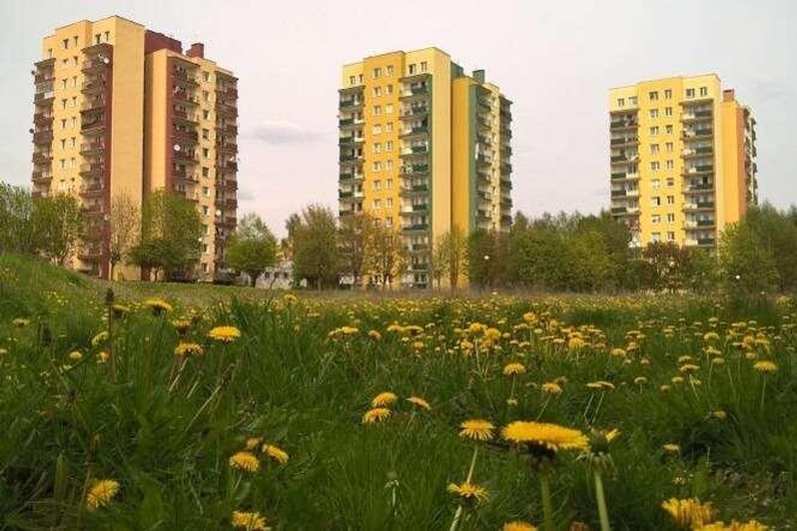 Zmiana na Porębie: Bloki zamiast zieleni. Mieszkańcy mogą zgłosić uwagi