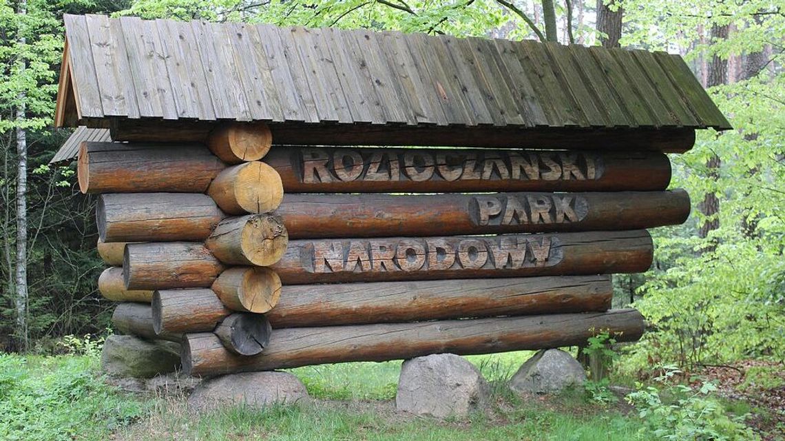 Zmiany kadrowe w RPN. Dotychczasowy dyrektor został odwołany Zmiany kadrowe w RPN. Dotychczasowy dyrektor został odwołany