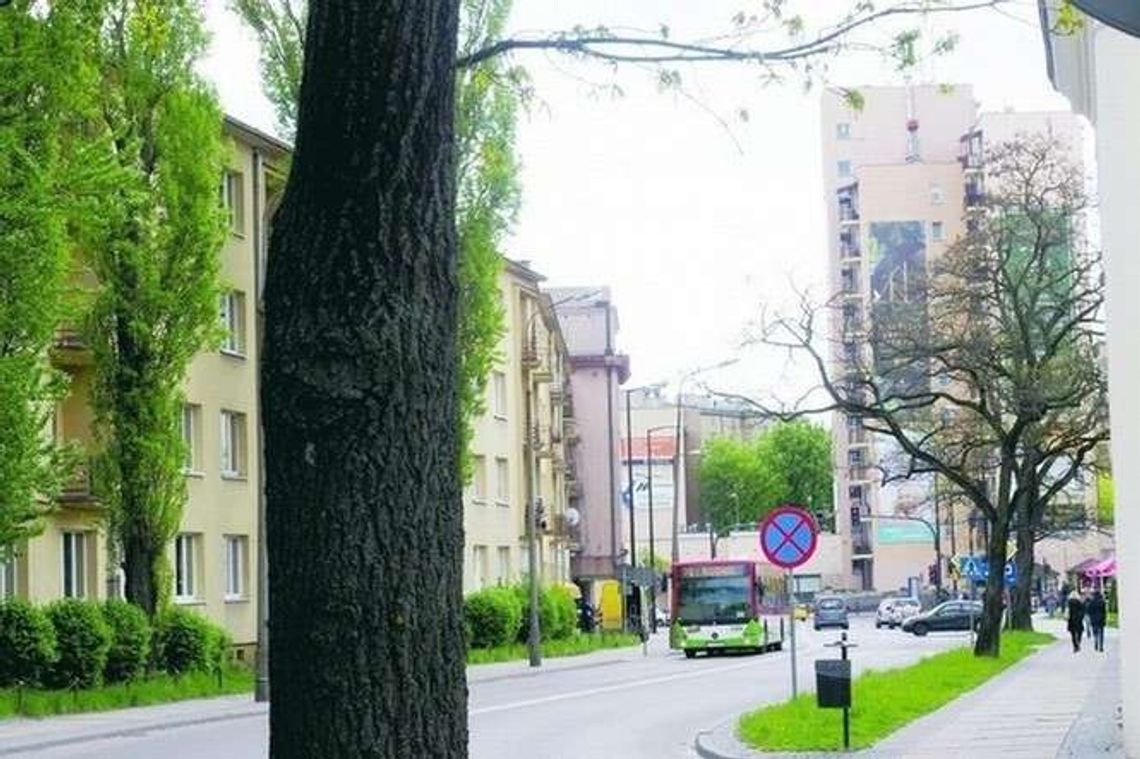 Zmiany nazw ulic w Lublinie. Jedna ma szansę pozostać