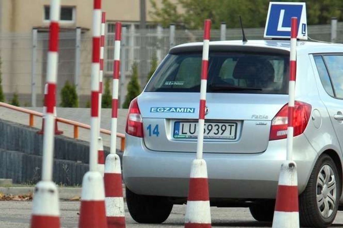 Zmiany w prawie jazdy wprowadzą później. Zielony listek najwcześniej za rok