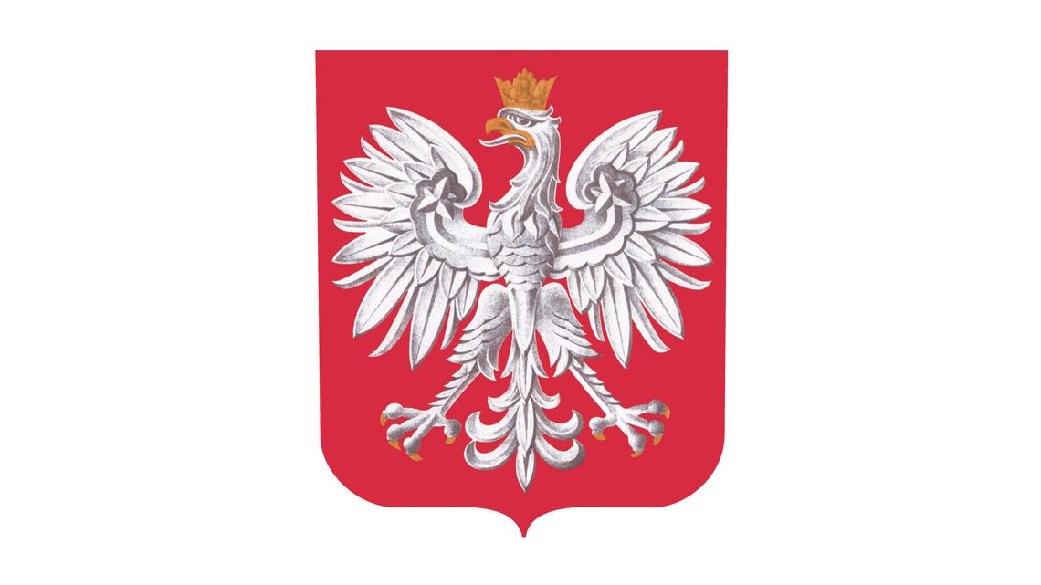 Zmieni się godło Polski? Po majowych wyborach ma być przedstawiony projekt