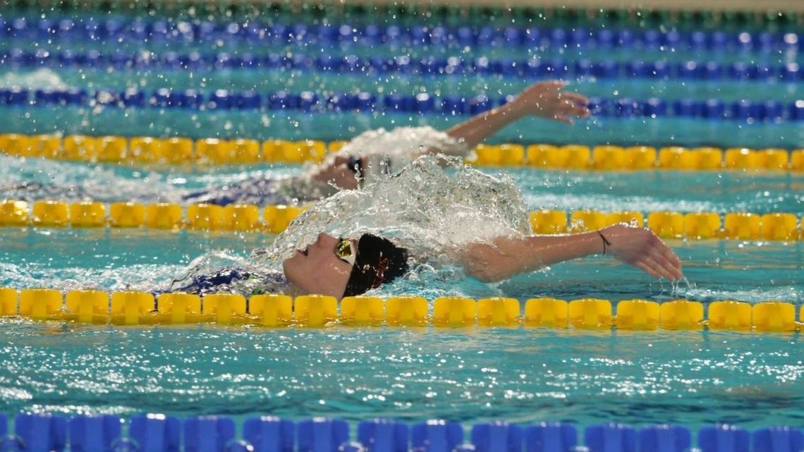 ZMP w pływaniu: Znowu cztery medale AZS UMCS Lublin