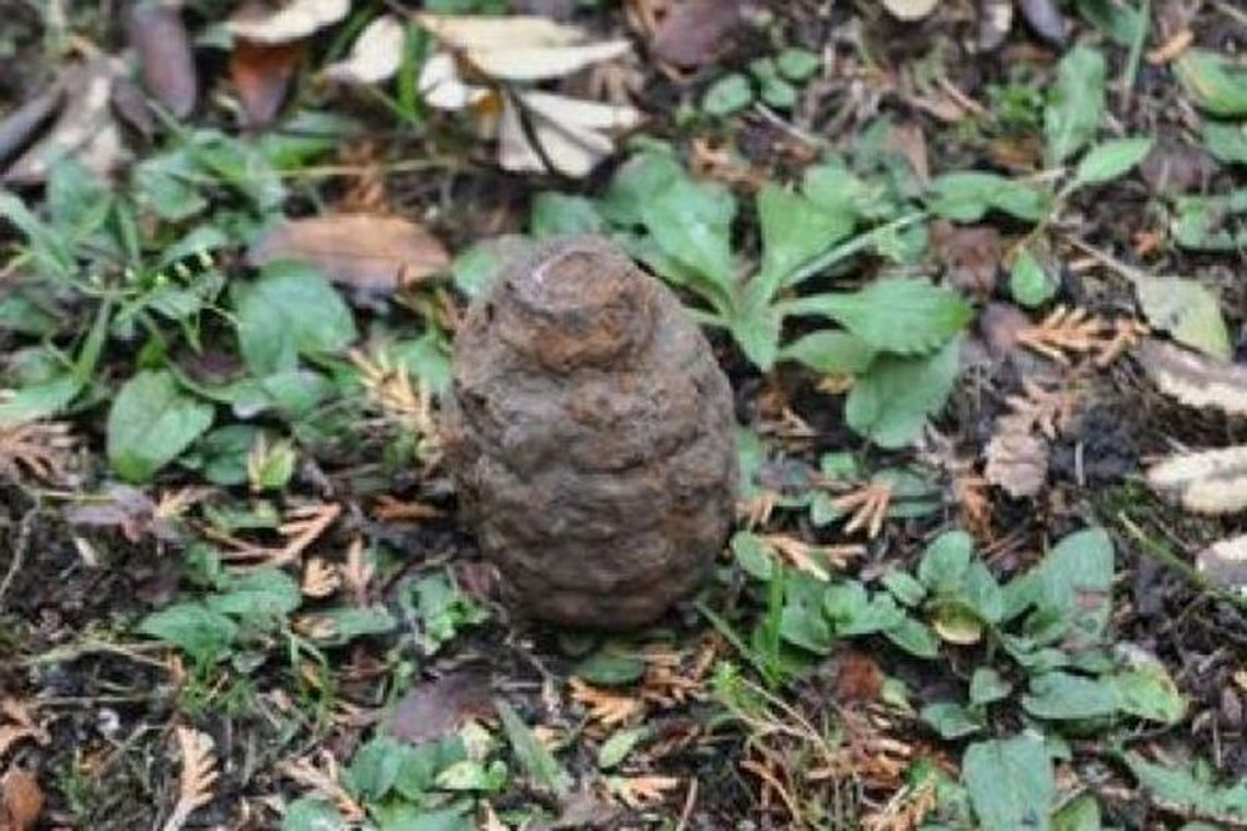 Znalazł granat w polu i przywiózł go policjantom